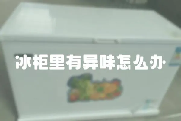 冰柜里有異味怎么辦