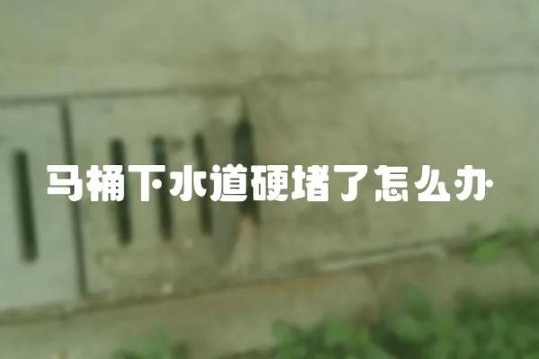 馬桶下水道硬堵了怎么辦