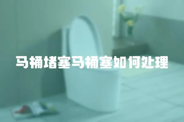 馬桶堵塞馬桶塞如何處理