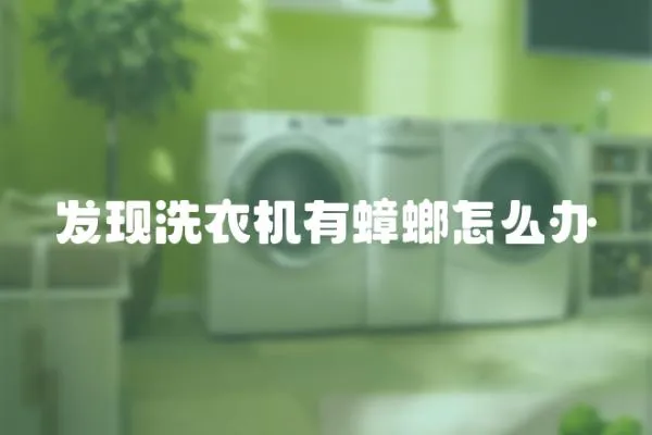 發現洗衣機有蟑螂怎么辦