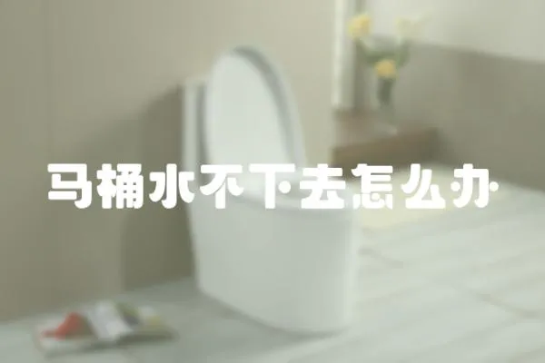馬桶水不下去怎么辦