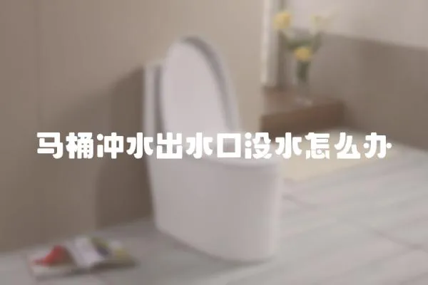 馬桶沖水出水口沒水怎么辦
