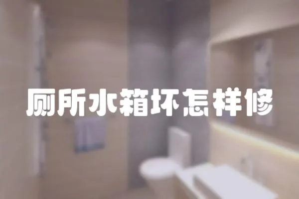 廁所水箱壞怎樣修