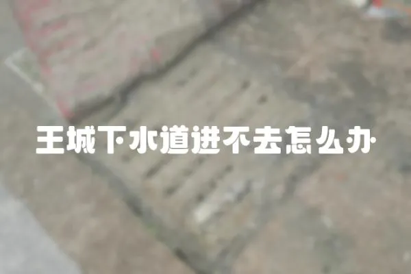 王城下水道進不去怎么辦