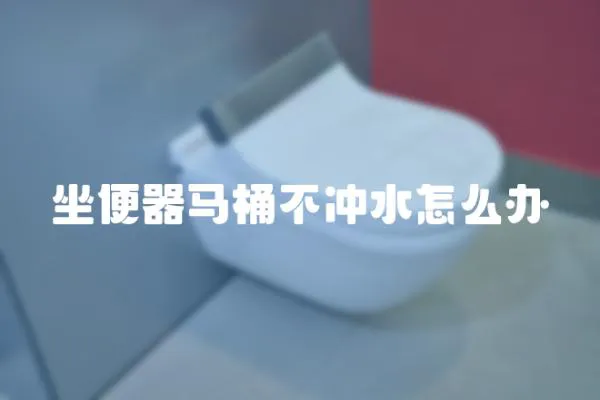 坐便器馬桶不沖水怎么辦