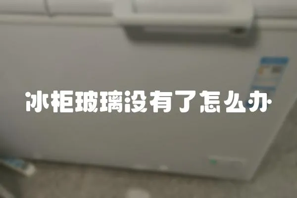 冰柜玻璃沒有了怎么辦