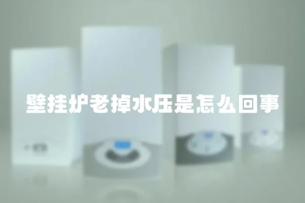 壁掛爐老掉水壓是怎么回事