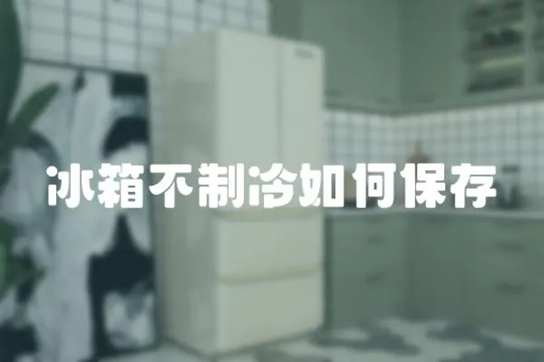 冰箱不制冷如何保存