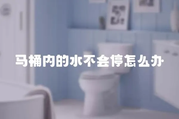 馬桶內的水不會停怎么辦