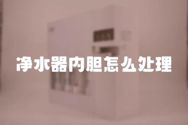 凈水器內(nèi)膽怎么處理