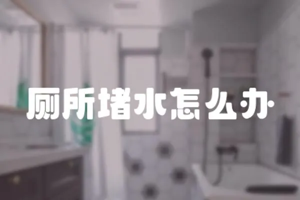 廁所堵水怎么辦