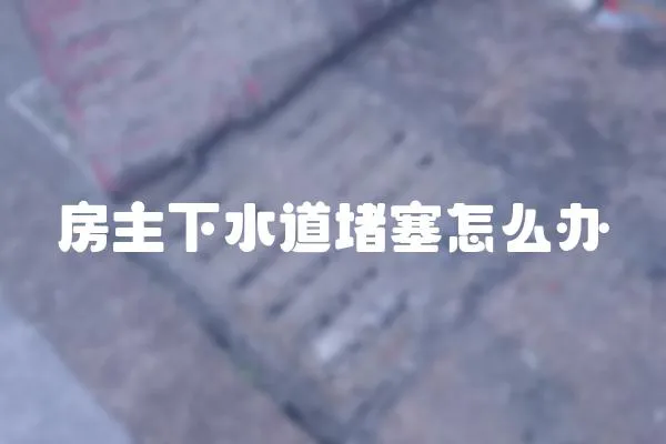 房主下水道堵塞怎么辦