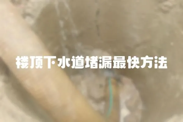 樓頂下水道堵漏最快方法