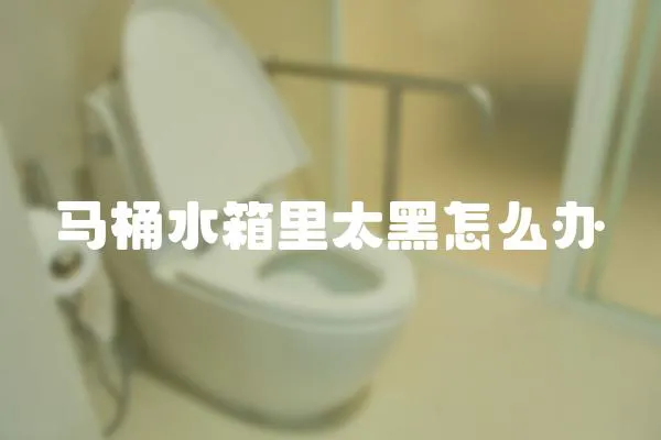 馬桶水箱里太黑怎么辦