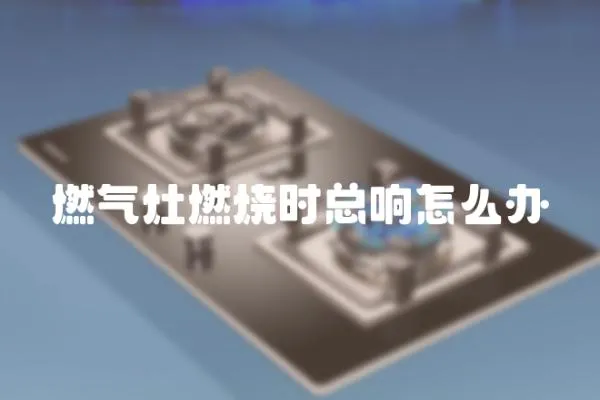 燃?xì)庠钊紵龝r(shí)總響怎么辦