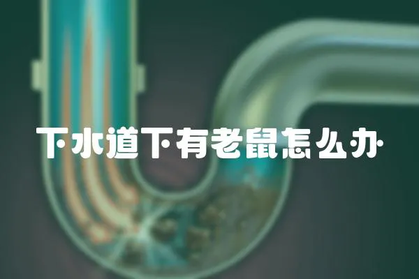 下水道下有老鼠怎么辦