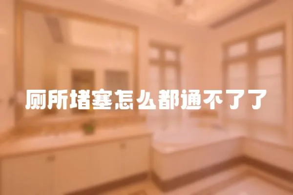 廁所堵塞怎么都通不了了