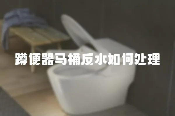 蹲便器馬桶反水如何處理