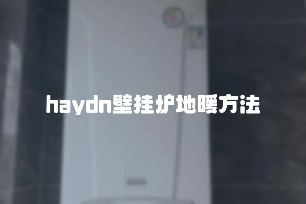 haydn壁掛爐地暖方法