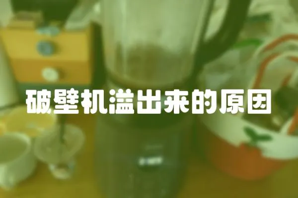 破壁機(jī)溢出來的原因