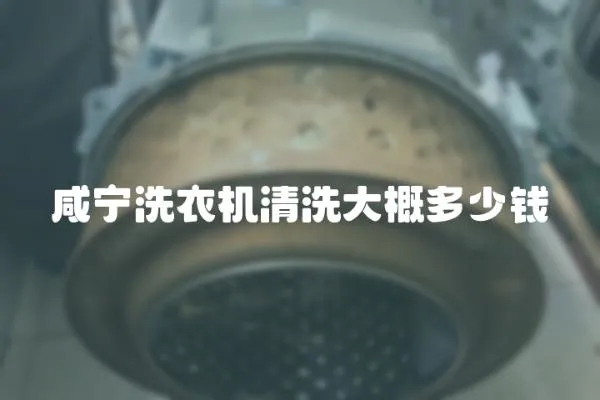 咸寧洗衣機清洗大概多少錢
