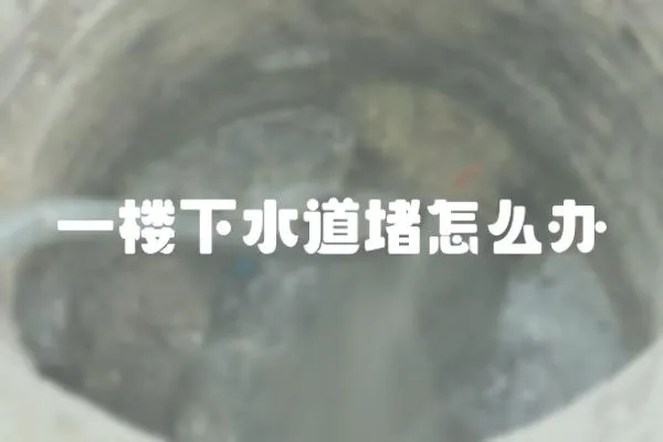 一樓下水道堵怎么辦