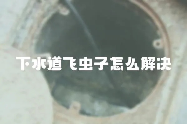 下水道飛蟲(chóng)子怎么解決