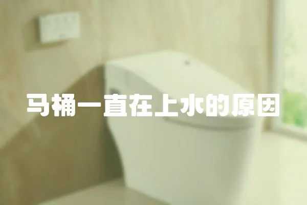 馬桶一直在上水的原因