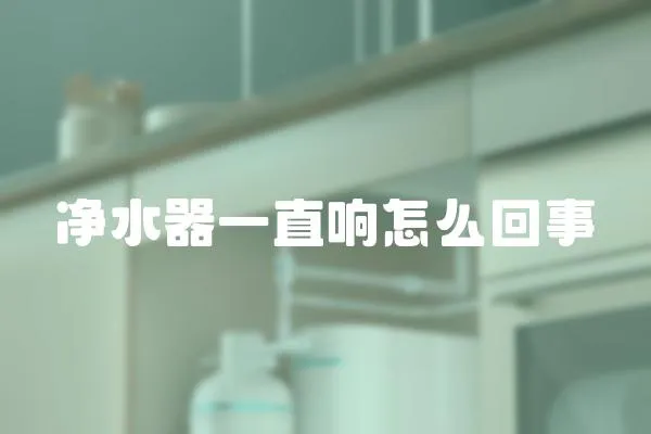 凈水器一直響怎么回事