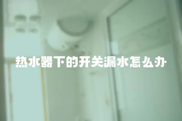熱水器下的開關(guān)漏水怎么辦