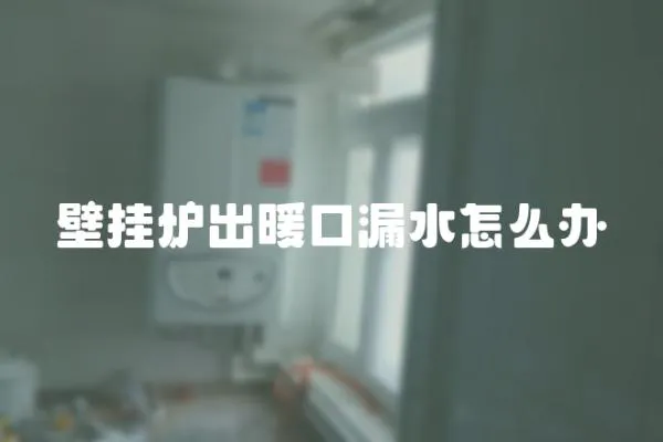 壁掛爐出暖口漏水怎么辦