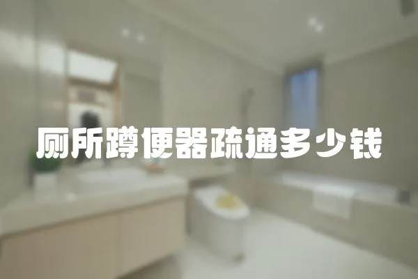 廁所蹲便器疏通多少錢