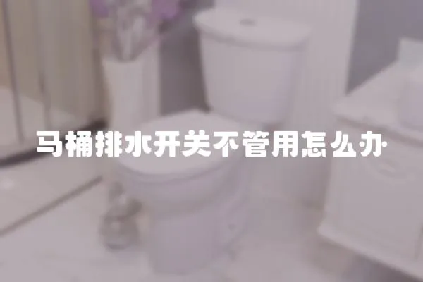 馬桶排水開關不管用怎么辦