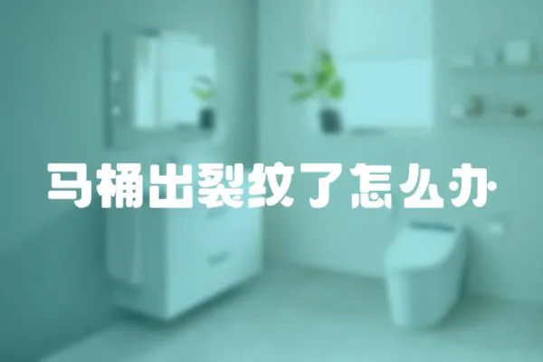 馬桶出裂紋了怎么辦