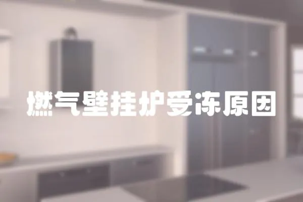 燃氣壁掛爐受凍原因