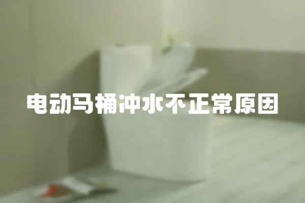 電動馬桶沖水不正常原因