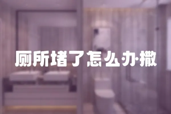 廁所堵了怎么辦撒