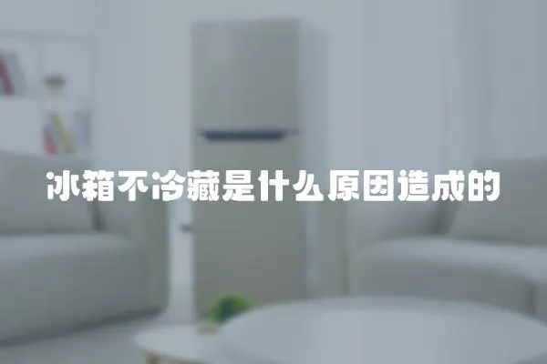 冰箱不冷藏是什么原因造成的