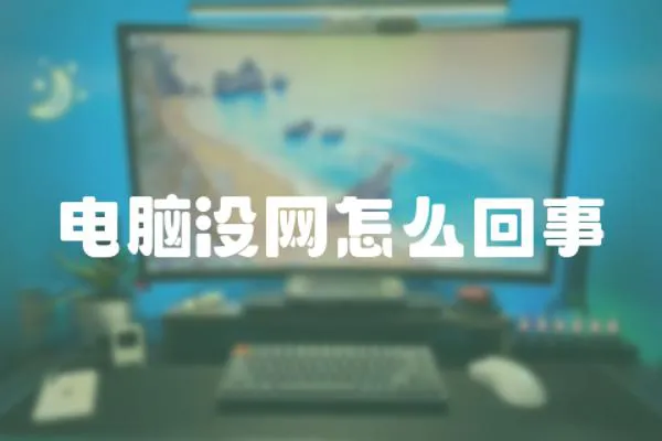 電腦沒網怎么回事