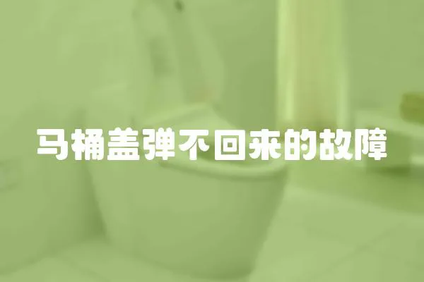 馬桶蓋彈不回來的故障