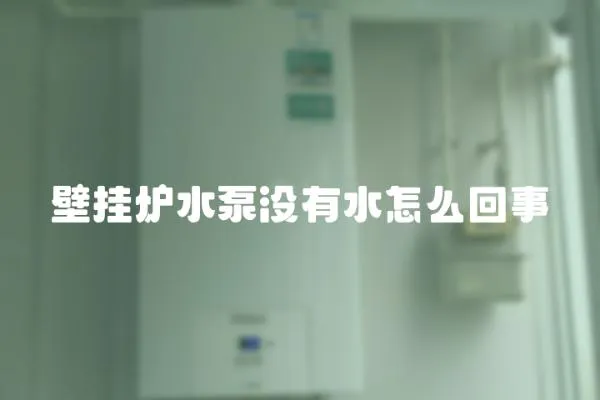 壁掛爐水泵沒有水怎么回事