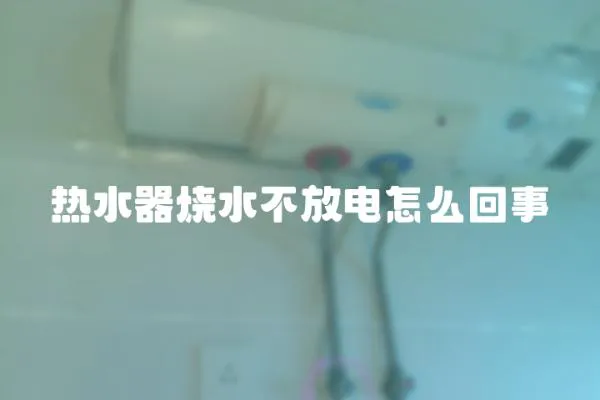 熱水器燒水不放電怎么回事