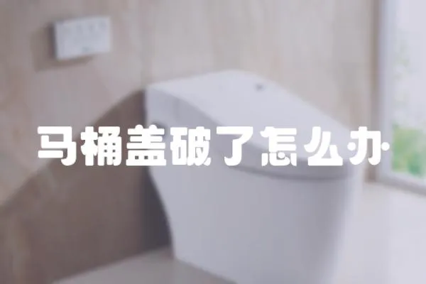 馬桶蓋破了怎么辦
