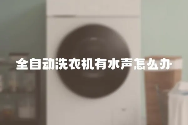 全自動(dòng)洗衣機(jī)有水聲怎么辦