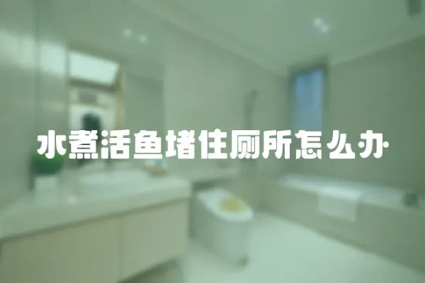 水煮活魚堵住廁所怎么辦
