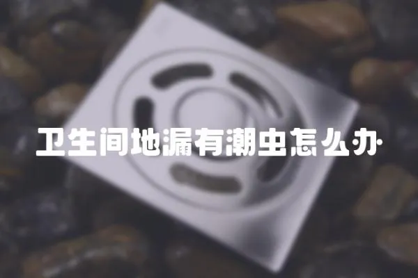 衛生間地漏有潮蟲怎么辦