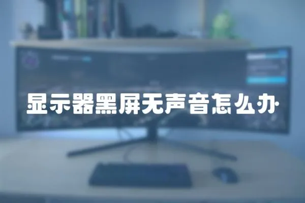 顯示器黑屏無聲音怎么辦