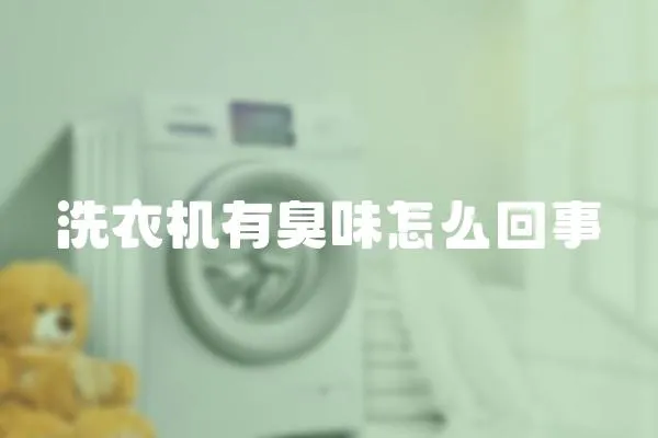 洗衣機(jī)有臭味怎么回事