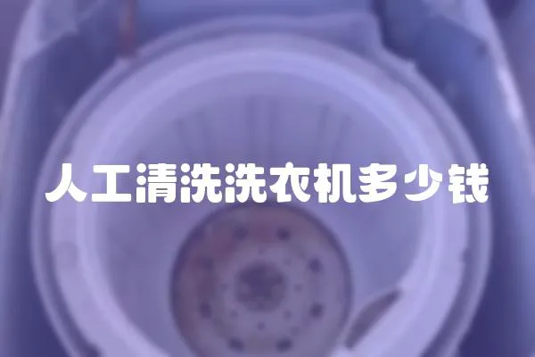 人工清洗洗衣機多少錢
