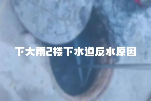 下大雨2樓下水道反水原因